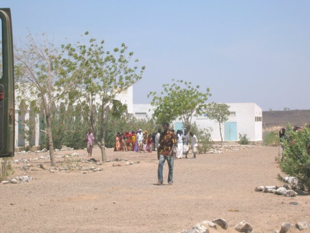 apl11.jpg