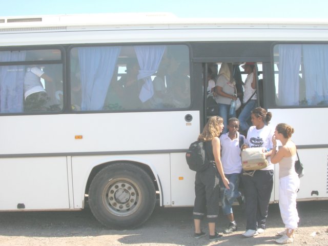 apl15.jpg