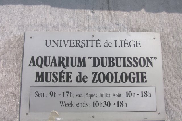 visiteaquariummusedelige030.jpg