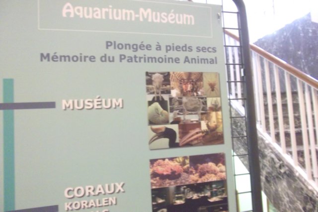 visiteaquariummusedelige031.jpg